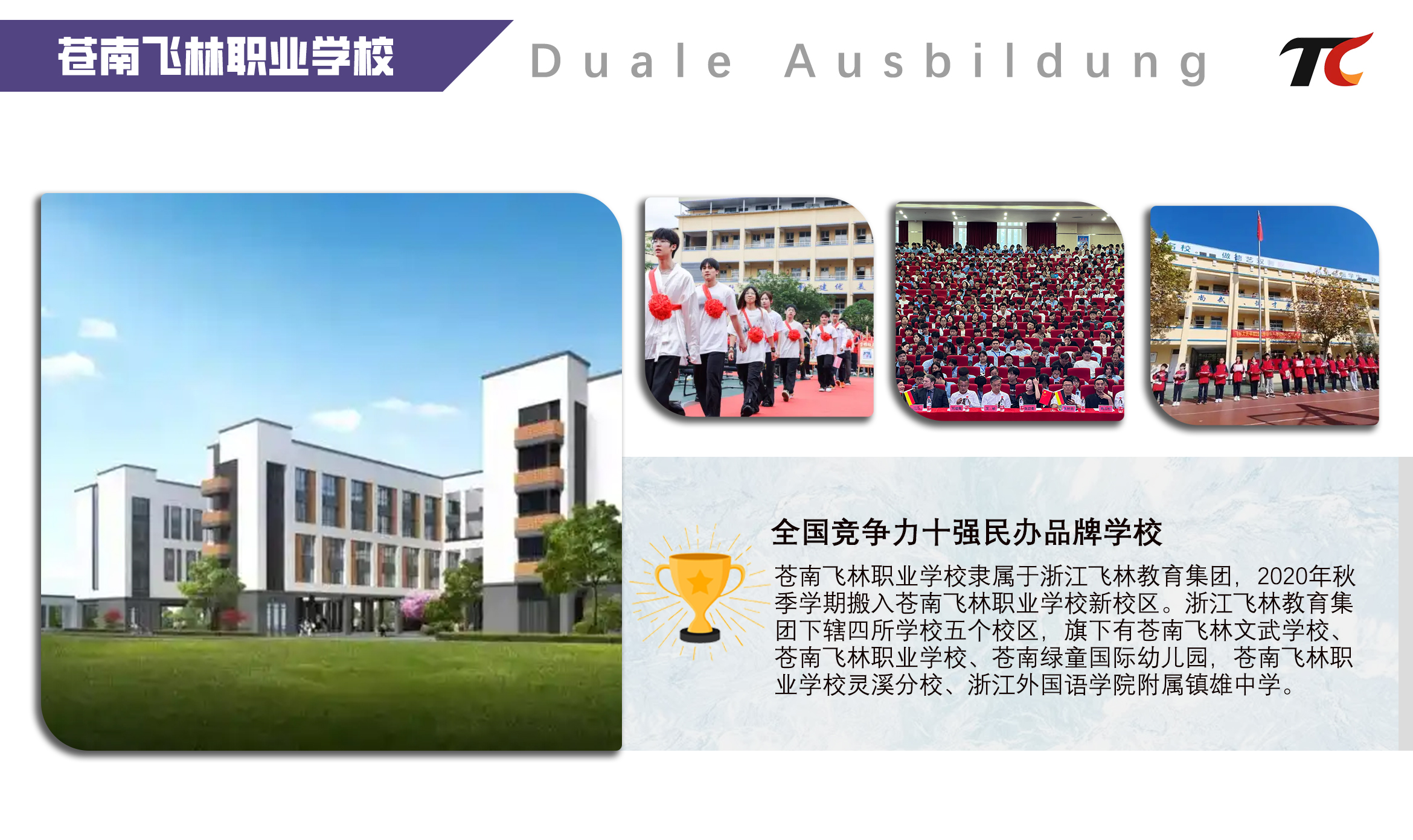 苍南飞林psd.jpg